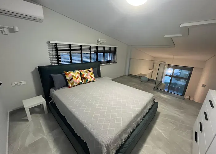 Olea Valley A24 니키티